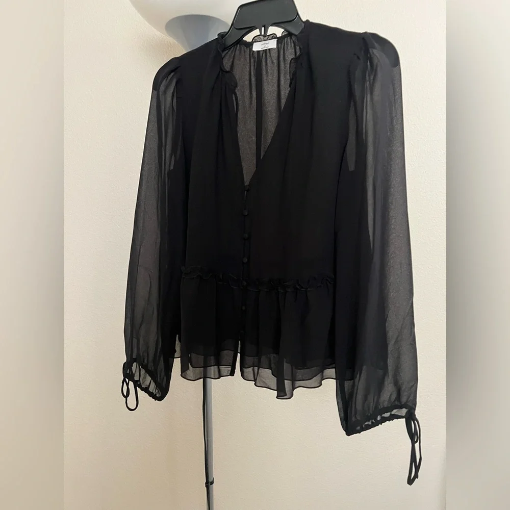 Aritzia Sheer Black Blouse - Picture 11 of 15